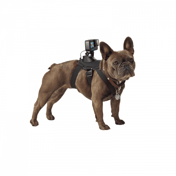 pdp-fetch-image01-1920-2x